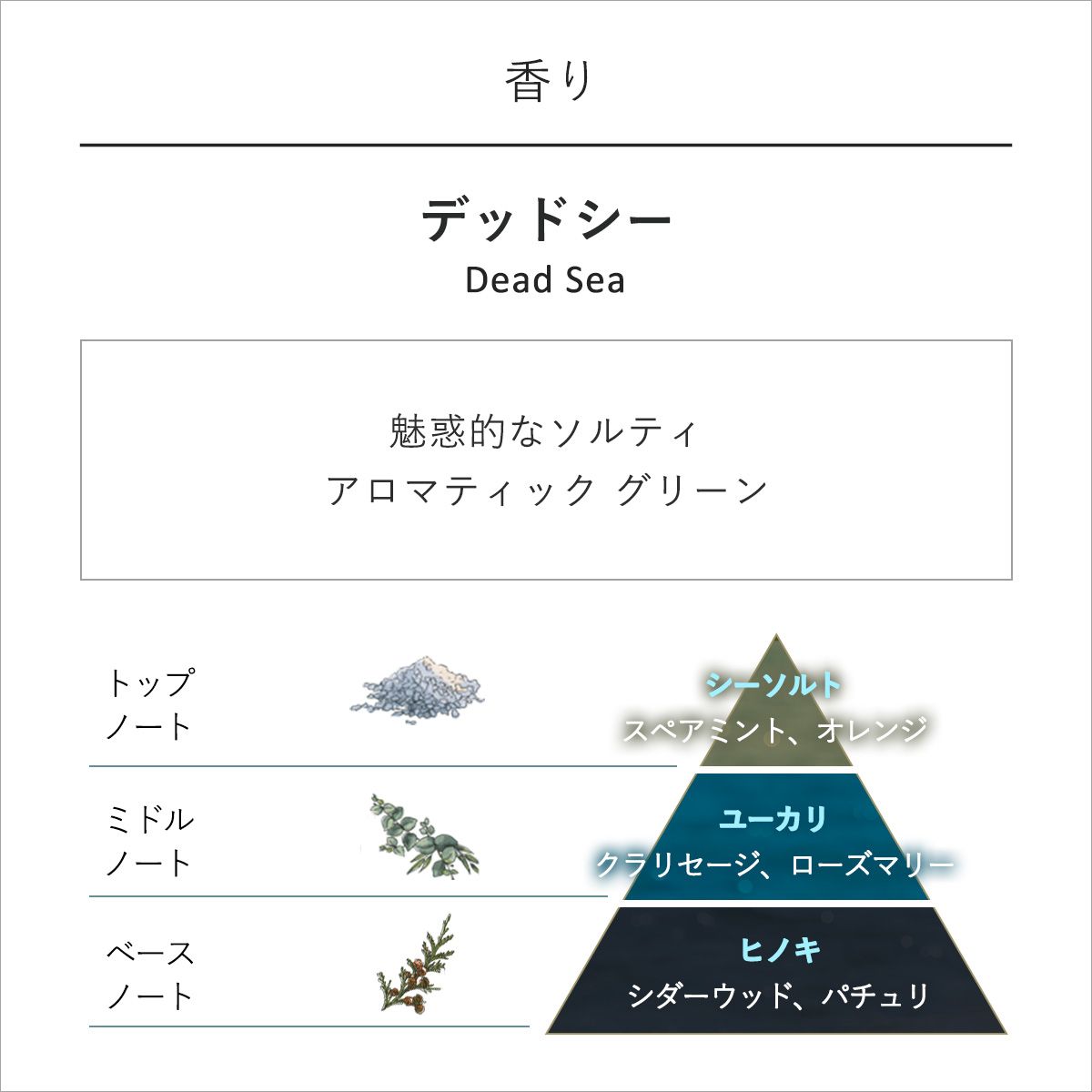 スクラブキット デッドシーの商品画像